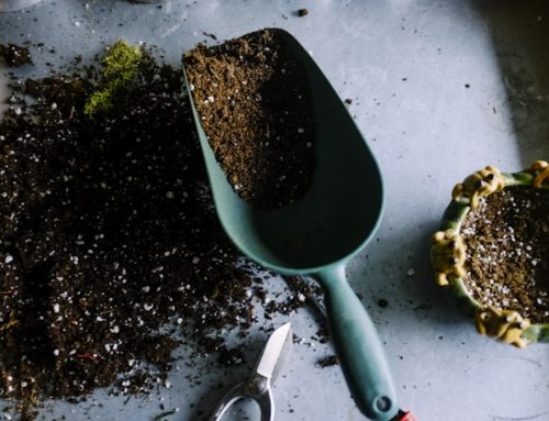 Jardins partagés : une nouvelle parcelle disponible dès juillet